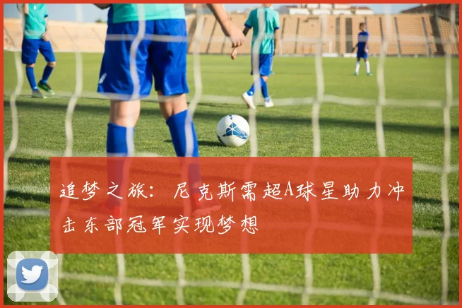 追梦之旅：尼克斯需超A球星助力冲击东部冠军实现梦想