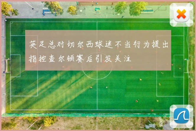 英足总对切尔西球迷不当行为提出指控查尔顿赛后引发关注